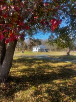 268 E Green Springs Rd in Gordonsville, VA - Building Photo