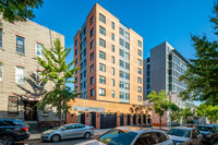 Gloria Willoughby Apartments in Brooklyn, NY - Building Photo - Building Photo