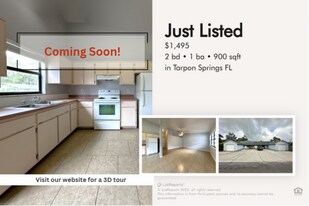 1159 E Rohe St in Tarpon Springs, FL - Building Photo