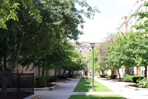 Perkins Square in Jamaica Plain, MA - Foto de edificio - Building Photo