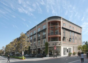 The Margo in San Jose, CA - Building Photo - Building Photo