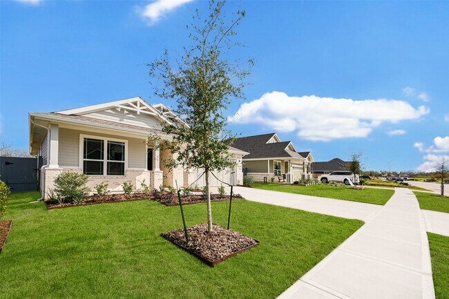 8311 Calico Pennant Wy in Fulshear, TX - Foto de edificio - Building Photo