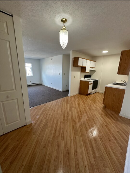1516 1st St E, Unit 302 in Thief River Falls, MN - Building Photo