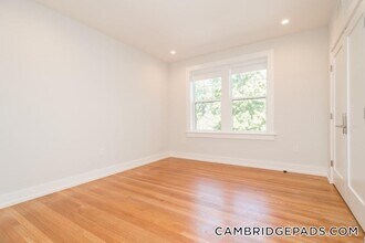 19A Forest St, Unit 31 in Cambridge, MA - Foto de edificio - Building Photo