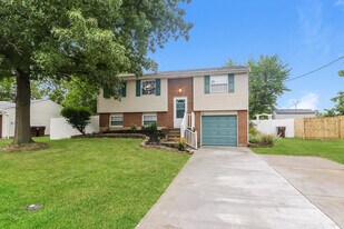 10004 Fernhaven Ct in Cincinnati, OH - Building Photo