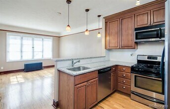 1107 N Elizabeth St in Denver, CO - Building Photo - Building Photo