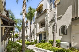 2473 Antlers Way in San Marcos, CA - Foto de edificio - Building Photo