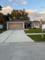 1414 Birchstone Ave in Brandon, FL - Building Photo