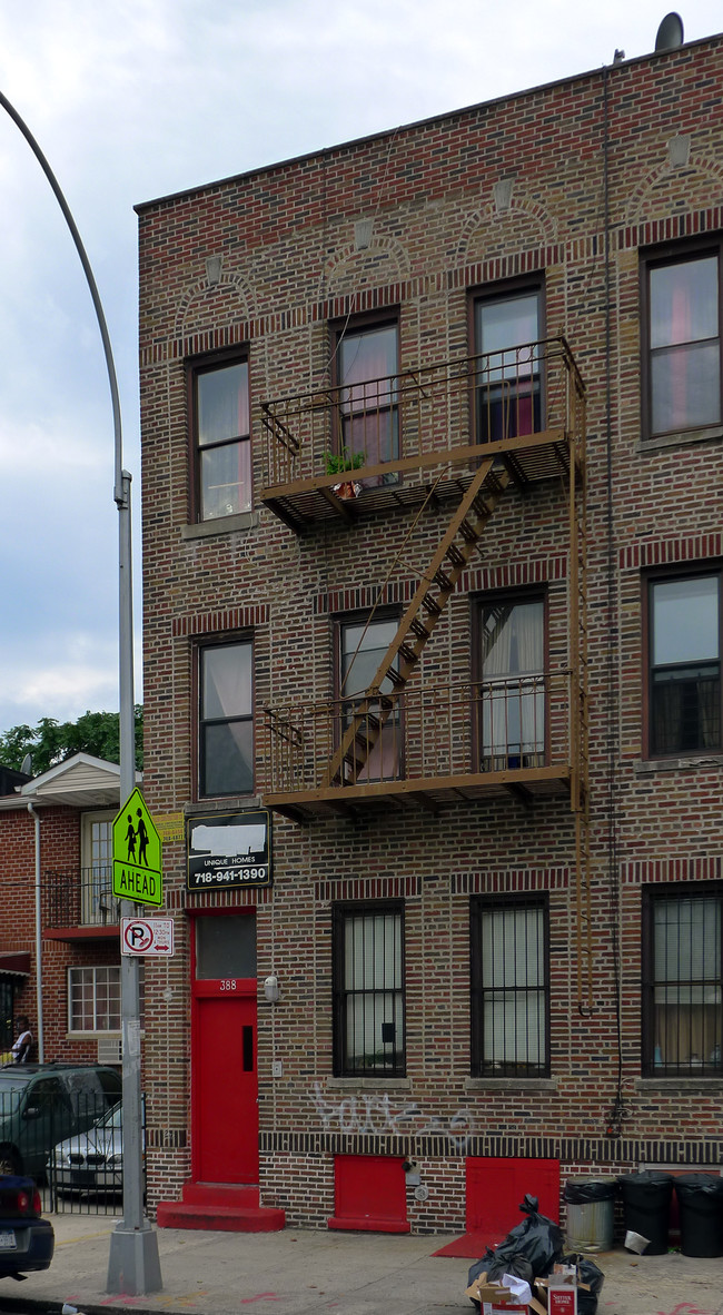 388 E 34th St in Brooklyn, NY - Foto de edificio - Building Photo