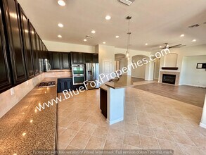 12841 N Cactus Terrace Pl in Marana, AZ - Building Photo - Building Photo