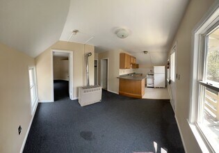 31 Loomis St, Unit 3 in Burlington, VT - Building Photo - Building Photo