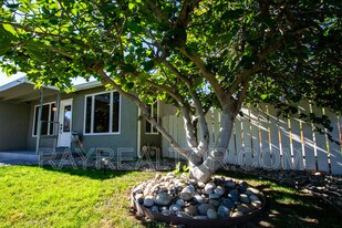 1099 Bradford Dr in Sunnyvale, CA - Building Photo