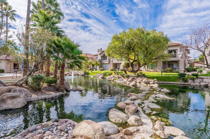 10019 E Mountain View Rd in Scottsdale, AZ - Foto de edificio