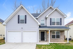11703 Sarah Loop in Hampton, GA - Building Photo