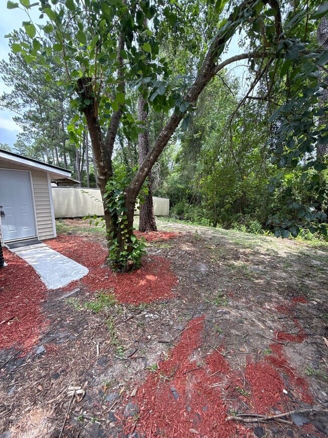 3264 La Trelle Ln in Jacksonville, FL - Building Photo - Building Photo