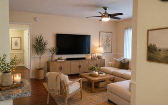 12500 Crest Springs Ln in Orlando, FL - Building Photo