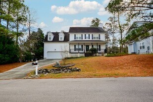 411 Celtic Ash St in Sneads Ferry, NC - Building Photo
