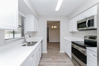 11211 Fiddlewood Dr in Riverview, FL - Building Photo - Building Photo