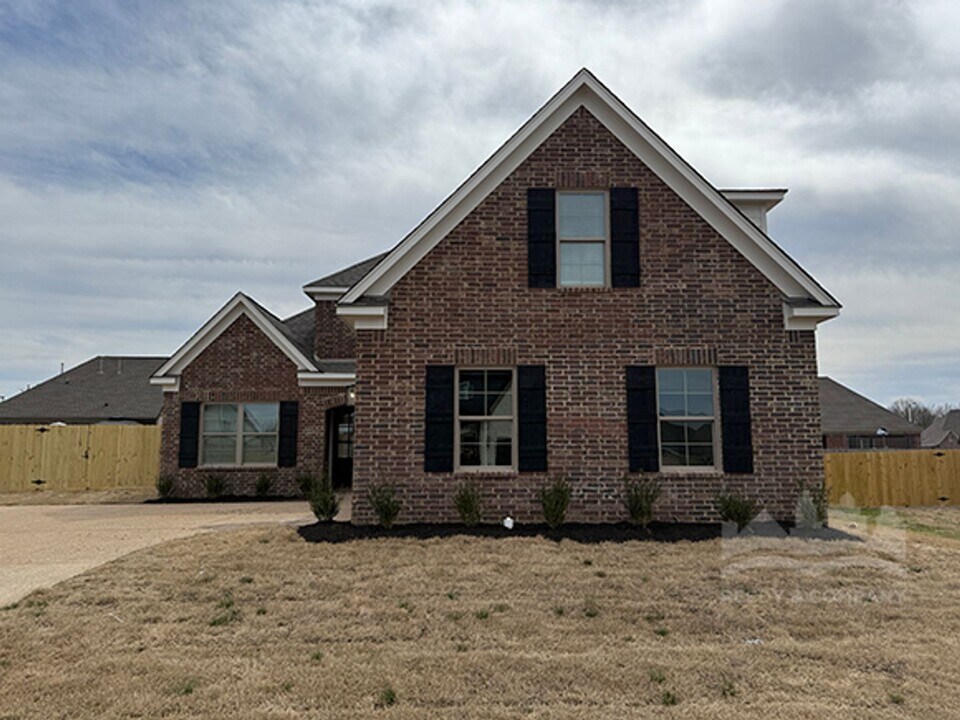 9674 Ryder Spgs Dr in Cordova, TN - Building Photo