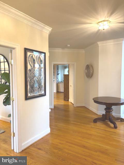 5924 Chesterbrook Rd in McLean, VA - Building Photo - Building Photo