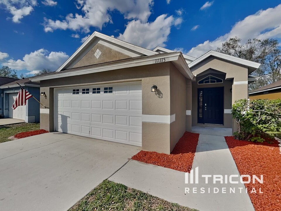 11115 Lake Tahoe Dr in Riverview, FL - Building Photo