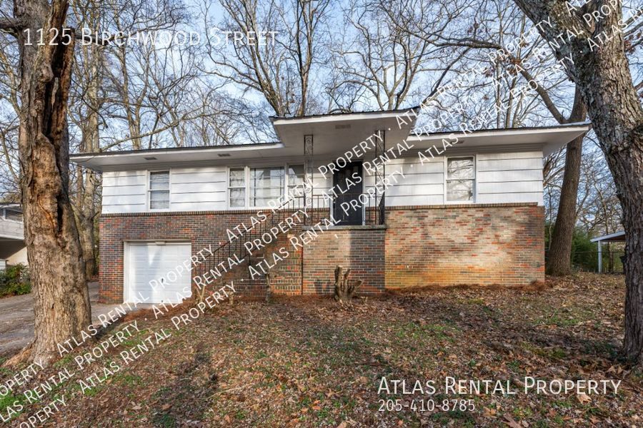 1125 Birchwood St in Birmingham, AL - Building Photo
