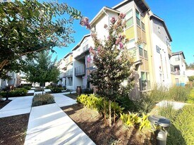 2745 Ball Pl in Santa Clara, CA - Building Photo