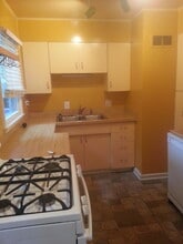 1307 Belmar Pl in Ann Arbor, MI - Building Photo - Building Photo