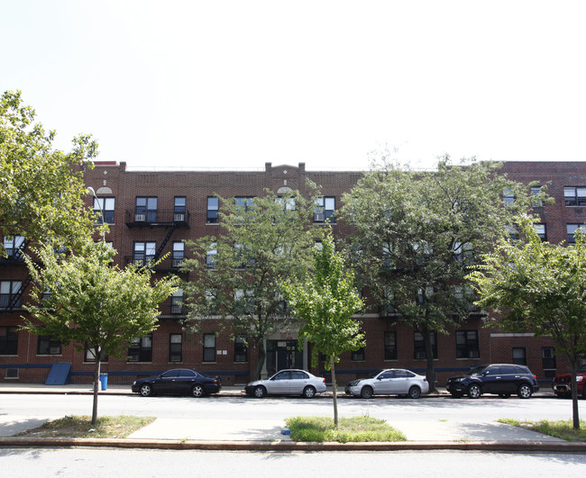 641 Howard Ave in Brooklyn, NY - Foto de edificio - Building Photo