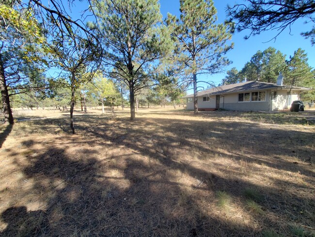 11165 Pine Meadows Rd in Colorado Springs, CO - Building Photo - Building Photo