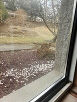 735 Sherman Ave in Thornwood, NY - Building Photo