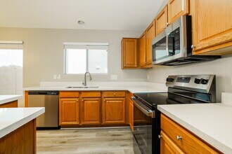 31724 Cheyenne Cir in Queen Creek, AZ - Building Photo - Building Photo