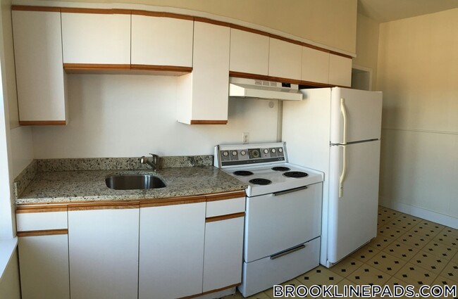 208 Winthrop Rd in Brookline, MA - Building Photo - Building Photo