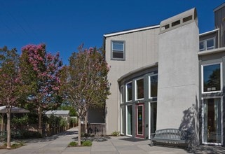 Ginzton Terrace in Mountain View, CA - Building Photo - Building Photo