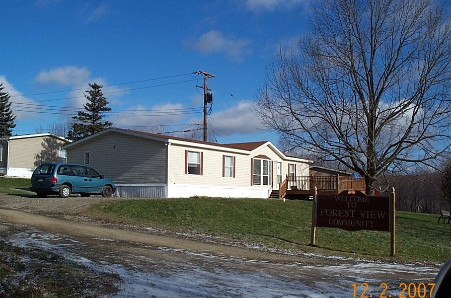 Forest View Mobile Home Park in Kirkwood, NY - Building Photo