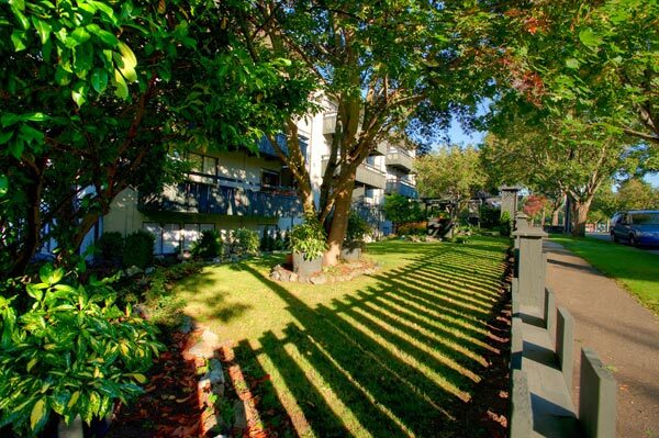 Shalamar Apartments in Victoria, BC - Building Photo - Building Photo