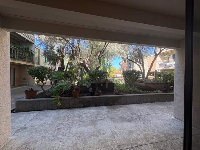 350 N Civic Dr, Unit 206 in Walnut Creek, CA - Foto de edificio - Building Photo