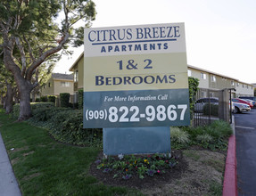 Citrus Breeze Apartments in Fontana, CA - Building Photo - Building Photo