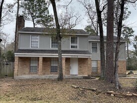 11016 Meadow Rue St in Spring, TX - Building Photo