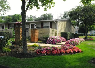 Bellville Court Apartments in Bellville, OH - Foto de edificio - Building Photo