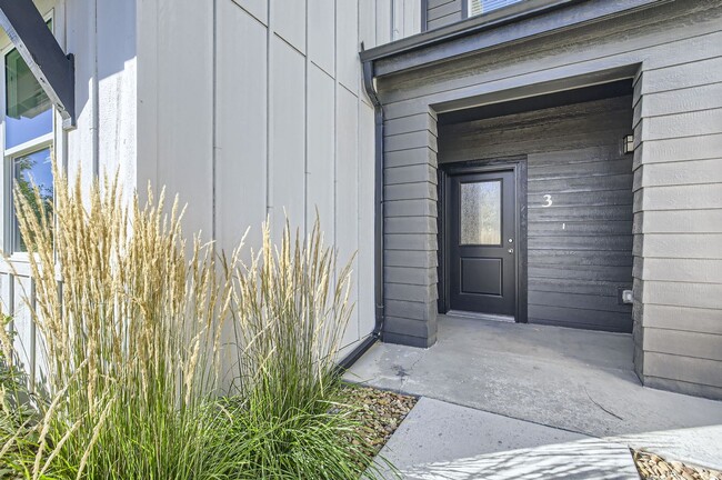 2060 Autumn Moon Dr in Windsor, CO - Building Photo - Building Photo