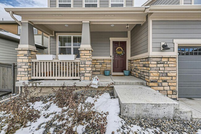 13528 Tree Sparrow Ln in Parker, CO - Building Photo - Building Photo