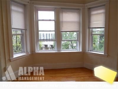 171 Hemenway St, Unit 24 in Boston, MA - Building Photo - Building Photo