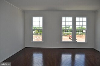 43311 Novi Terrace in Ashburn, VA - Building Photo - Building Photo