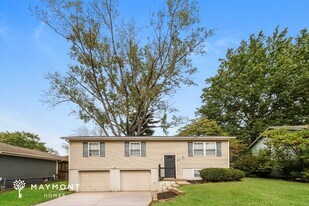 313 NE Lakeview Dr in Blue Springs, MO - Building Photo