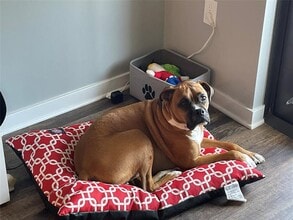 1436 NE 2nd Ave-Unit -2 in Fort Lauderdale, FL - Building Photo - Building Photo