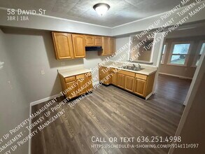 58 David St in Sauget, IL - Building Photo - Building Photo