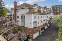 Brookchester Court in Port Chester, NY - Building Photo - Building Photo