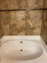 3401 Blue Quill Ln in Tallahassee, FL - Building Photo - Building Photo