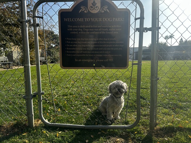 The Laurel Tree Apartments in Bakersfield, CA - Foto de edificio - Building Photo